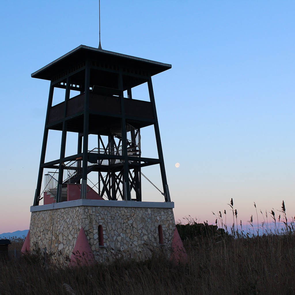 Mirador de Migjorn