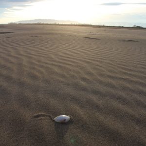 Platja del Serrallo